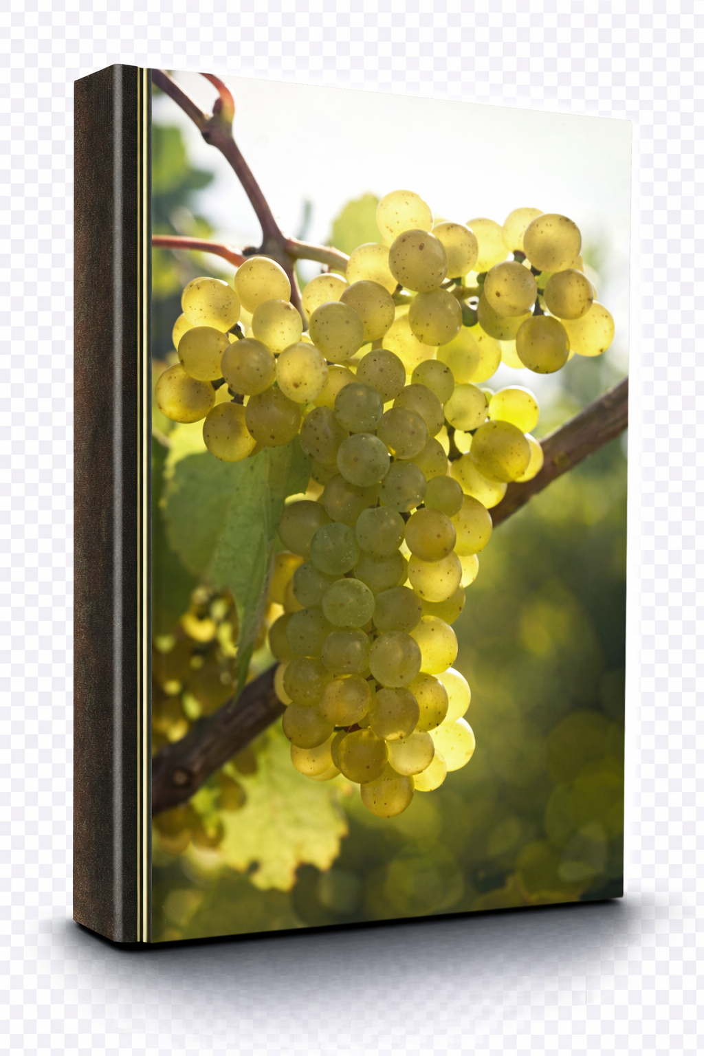 Albariño