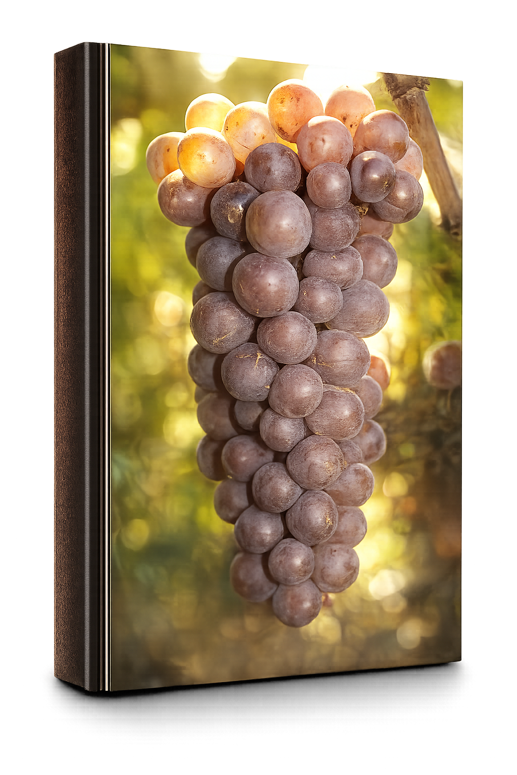 Pinot Grigio