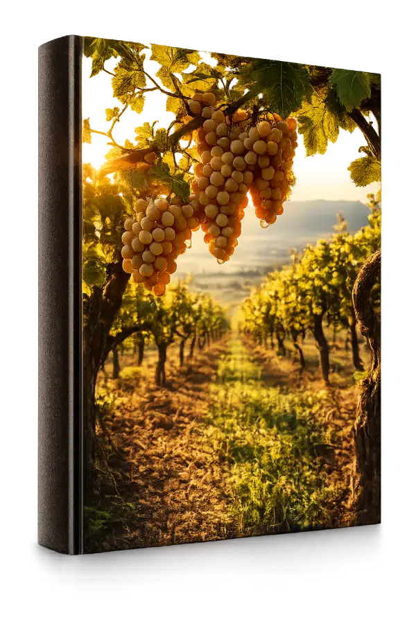 Garnacha Blanca