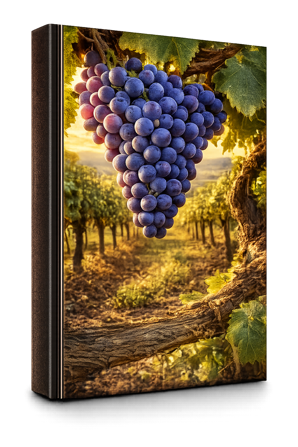 Tempranillo